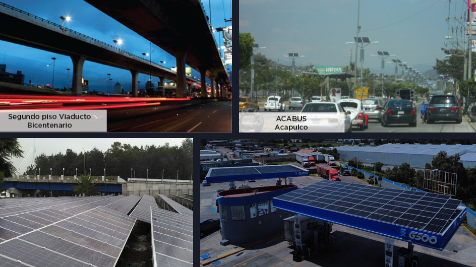 Instalación de luces y plantas